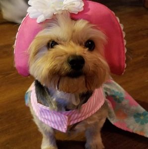 Meet your Posher, Angela